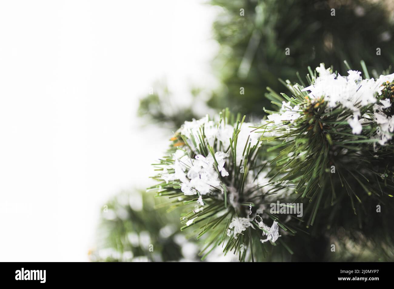 Tannenbaum mit Schneeflocken Zweigen Stockfoto