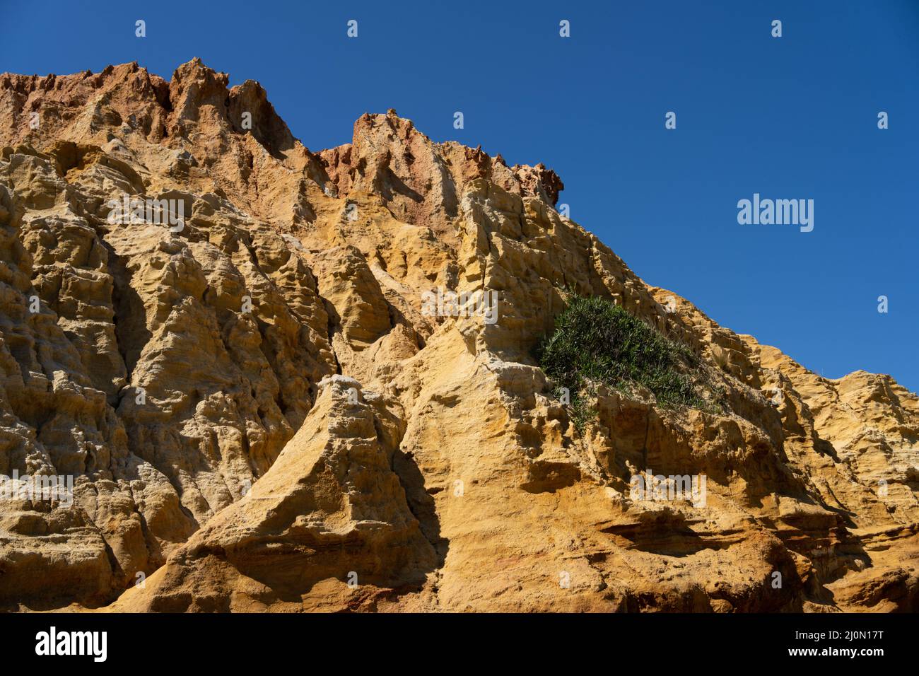 Rote Kliffs in Half Moon Bay, Black Rock, Melbourne, Australien. Blick auf die Klippen über Port Phillip Bay. Stockfoto