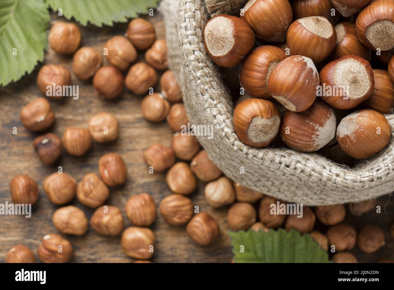(1)Nahaufnahme der NUTS-Konzeptanordnung Stockfoto