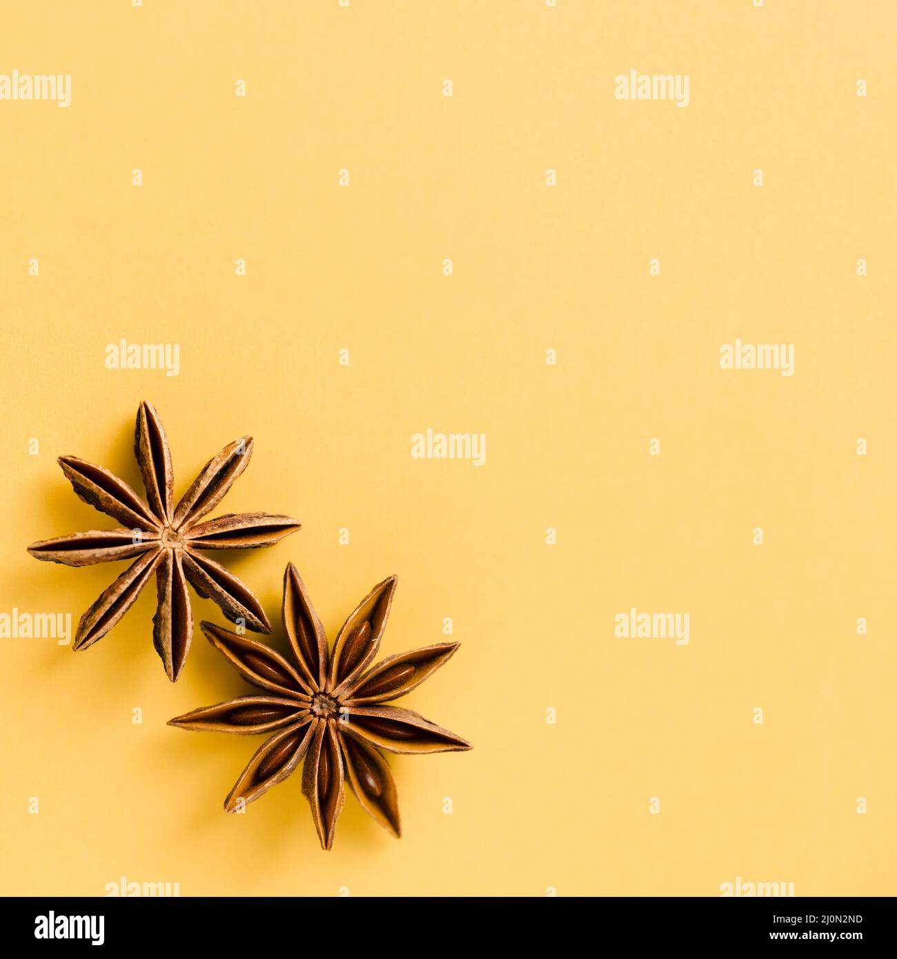 Niedlicher Sternanise mit orangefarbenem Hintergrund Stockfoto