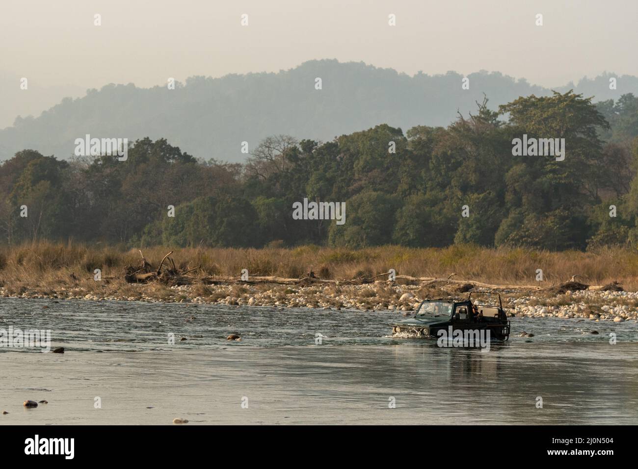 Jim corbett Nationalpark, Ramnagar, Uttarakhand, Indien - 7. Februar 2022 - Wildtiersafari oder landschaftlich reizvolle Wildfahrt Zigeuner oder Jeep Hälfte im Flusswasser Stockfoto