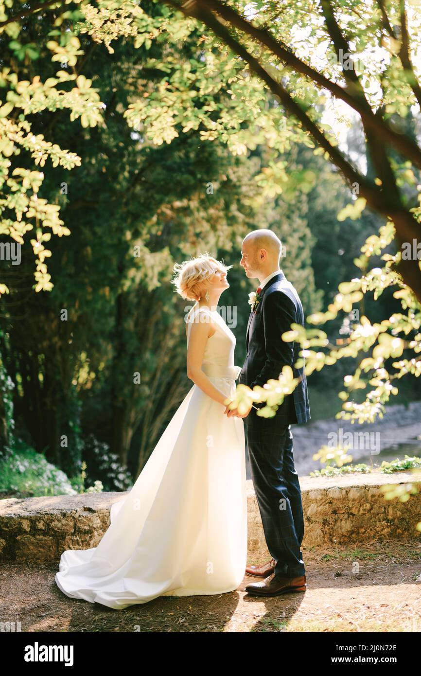 Bräutigam in einem schwarzen Anzug hält die Hände der Braut in einem weißen Kleid, während er auf einem Pfad im grünen Park in der Nähe eines Steinzauns steht Stockfoto