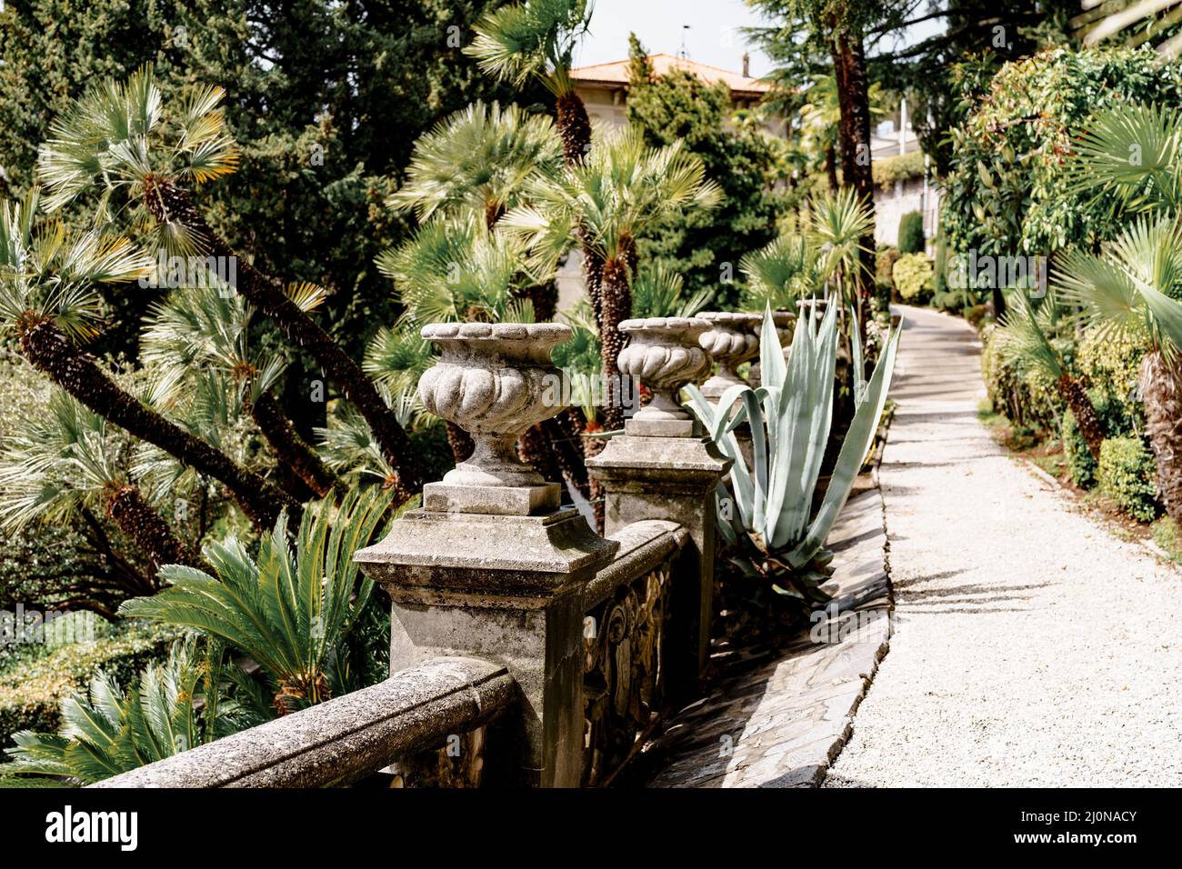 Palmen und Agaven wachsen entlang eines Pfades im Garten. Villa Monastero, Italien Stockfoto