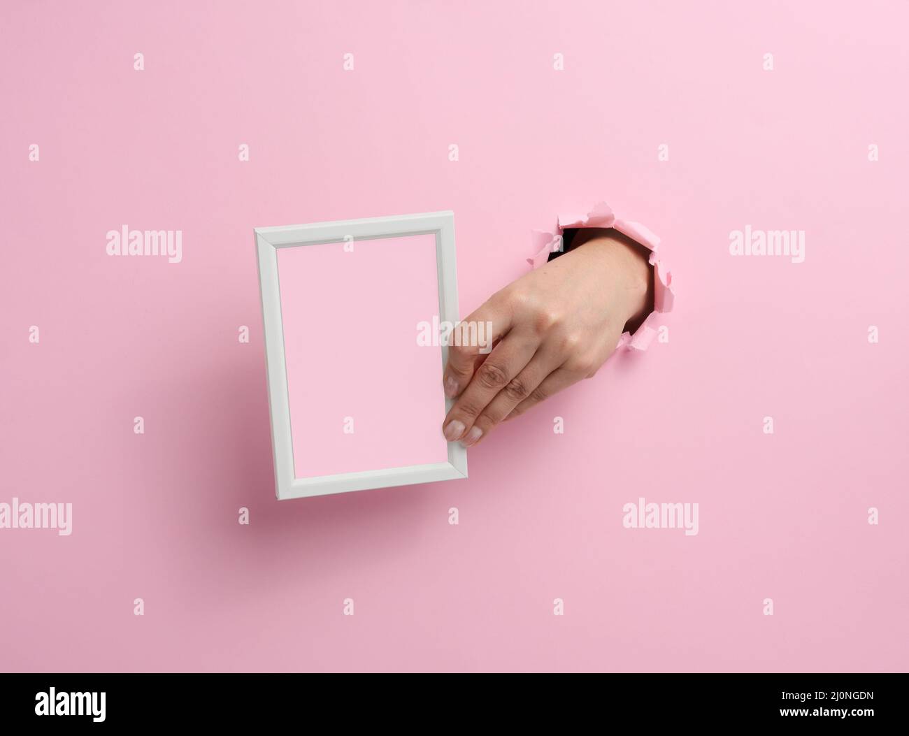 Weibliche Hand hält leeren weißen Holzrahmen, Körperteil ragt aus dem zerrissenen Loch in rosa Papier Hintergrund Stockfoto