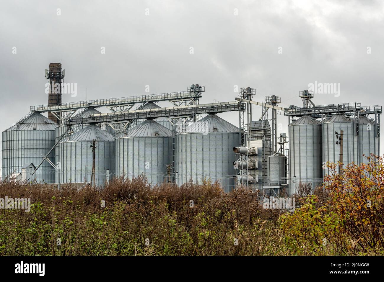 Landwirtschaftliche Silos für Getreidekulturen Stockfoto
