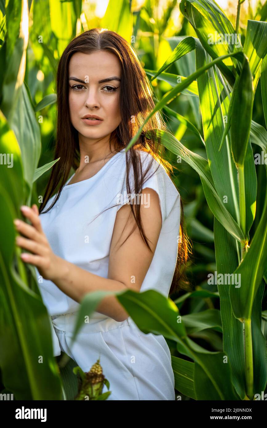 Junge schöne Frau mit braunen Haaren auf dem Maisfeld. Stockfoto