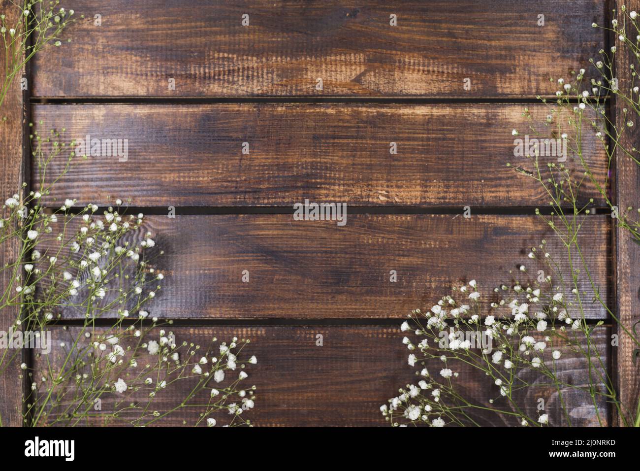 Hellweiße Blumen Holz . Hohe Qualität und Auflösung schönes Fotokonzept Stockfoto