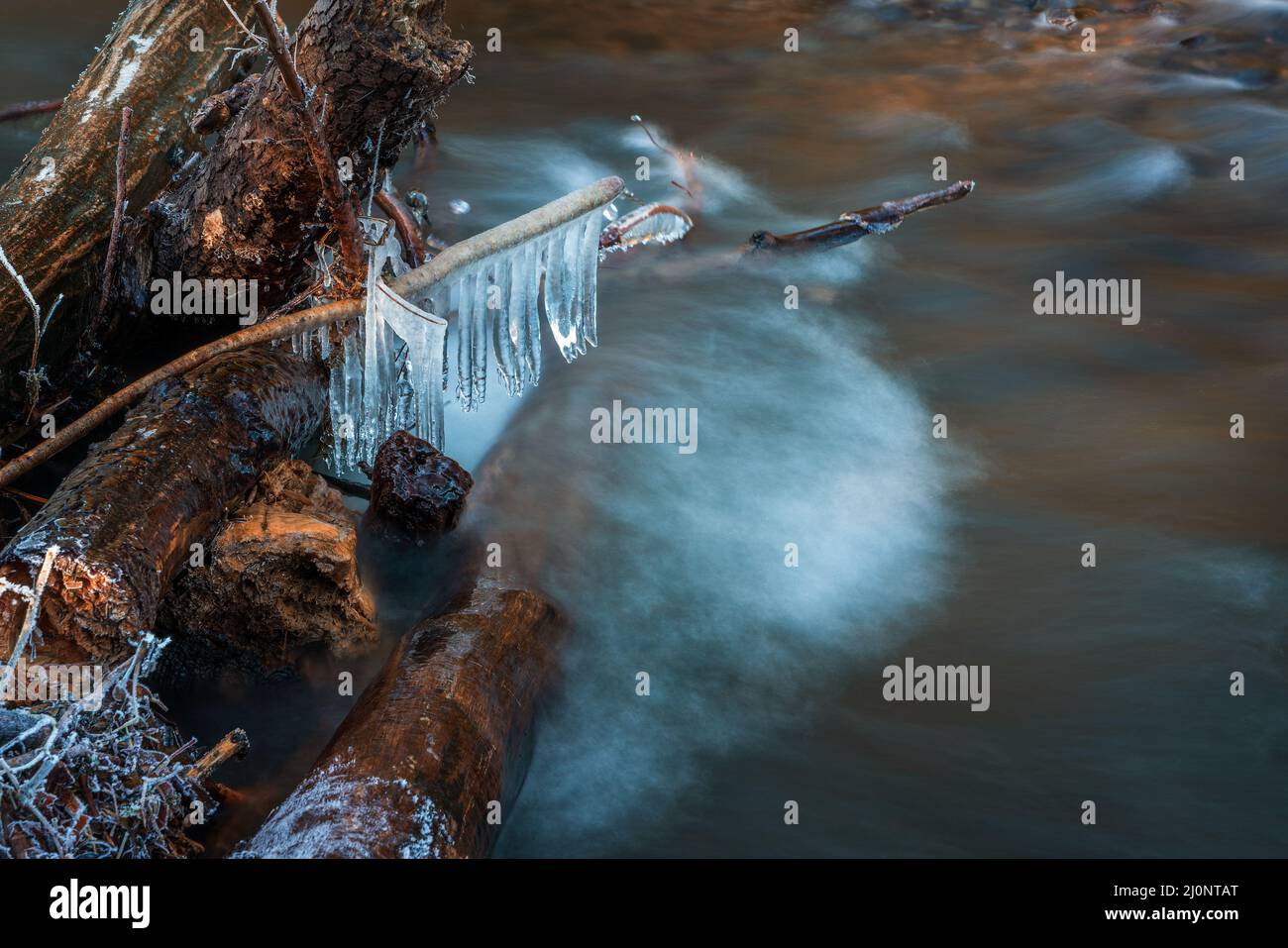 Fluss in den Wäldern im Winter. Stockfoto