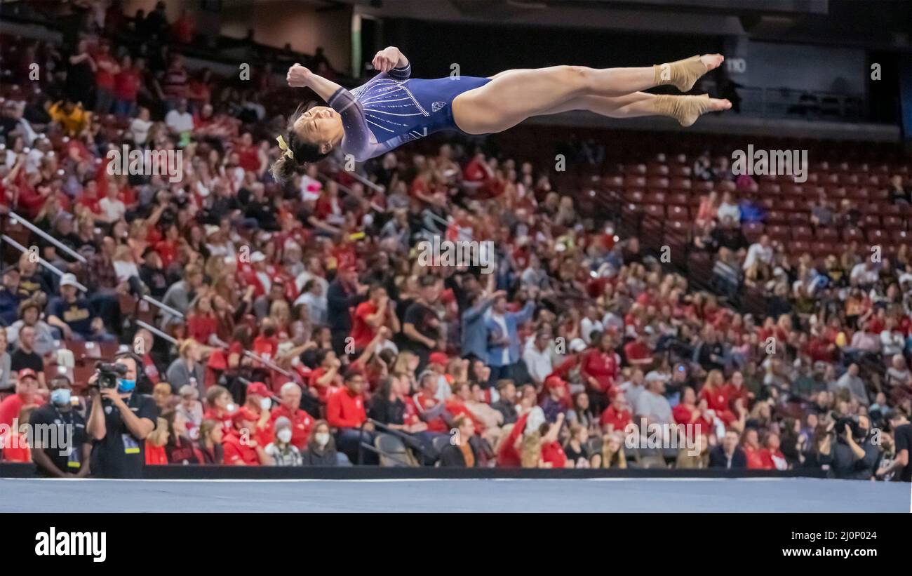 Andi Li von der University of California in Berkeley erzielte am 19. März 2022 bei der Gymnastikmeisterschaft der Frauen Pac12 im Maverik Center in Salt Lake City, Utah, 9,90 Punkte (Foto von Jeff Wong/Sipa USA). Stockfoto