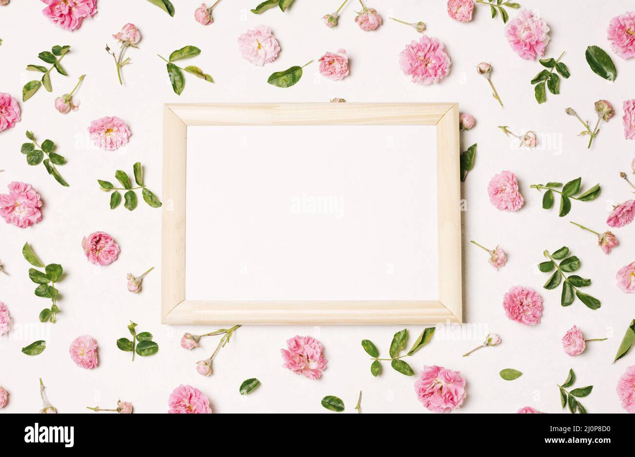 Fotorahmen Kollektion rosa Blumen grüne Blätter . Hohe Qualität und Auflösung schönes Fotokonzept Stockfoto