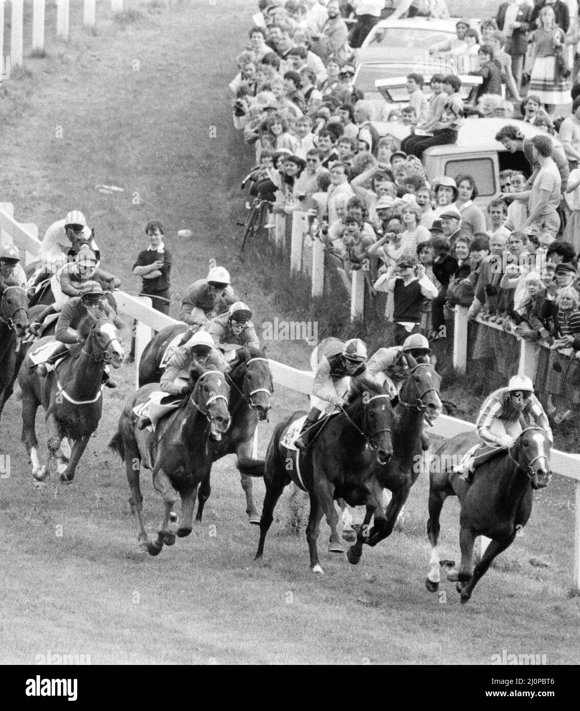 Epsom Derby, 1983. Juni.Lester Piggott (Dritter von rechts auf Teenoso) steht kurz vor dem Abstürzen, als sie um die Tattenham Corner kommen. Stockfoto