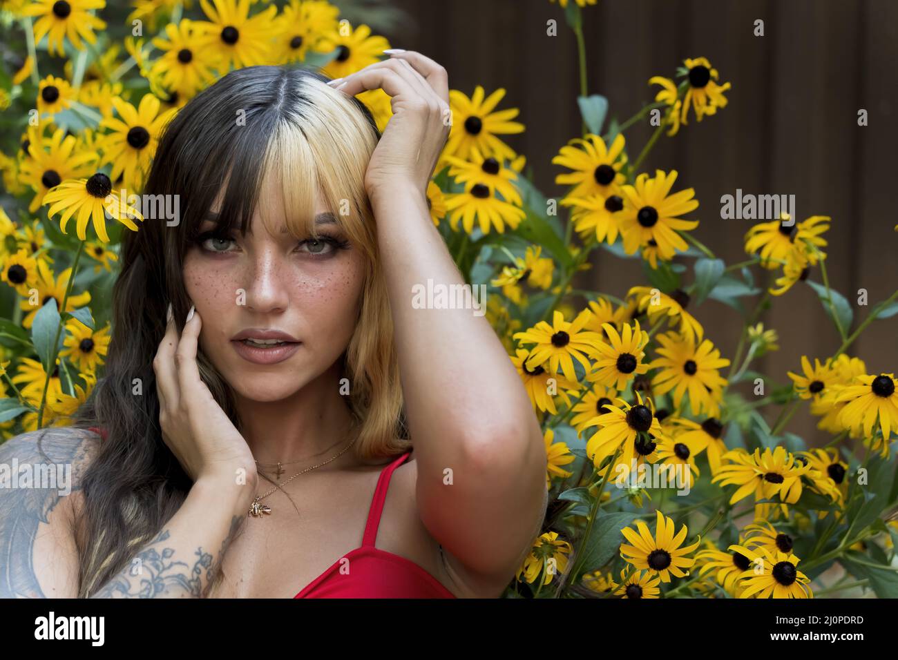 Ein schönes Brünette Model posiert in Einem Feld von gelben Blumen, während es das Sommerwetter genießt Stockfoto