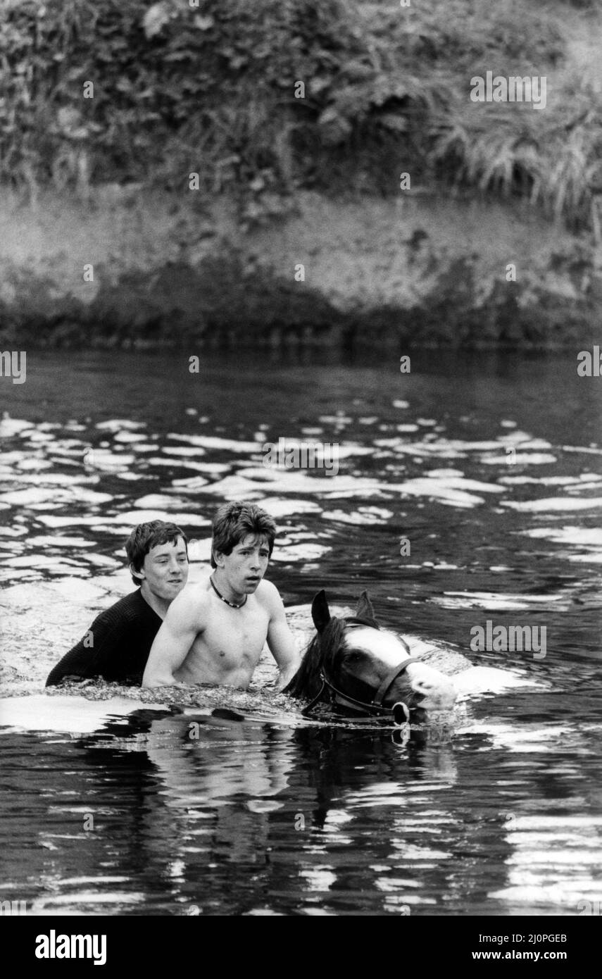 Am 10.. Juni 1983 auf der Appleby Horse Fair in Westmorland, Cumbria, in den Fluss Eden, um sich für dieses Pferd und zwei Bareback-Reiter zu waschen Stockfoto