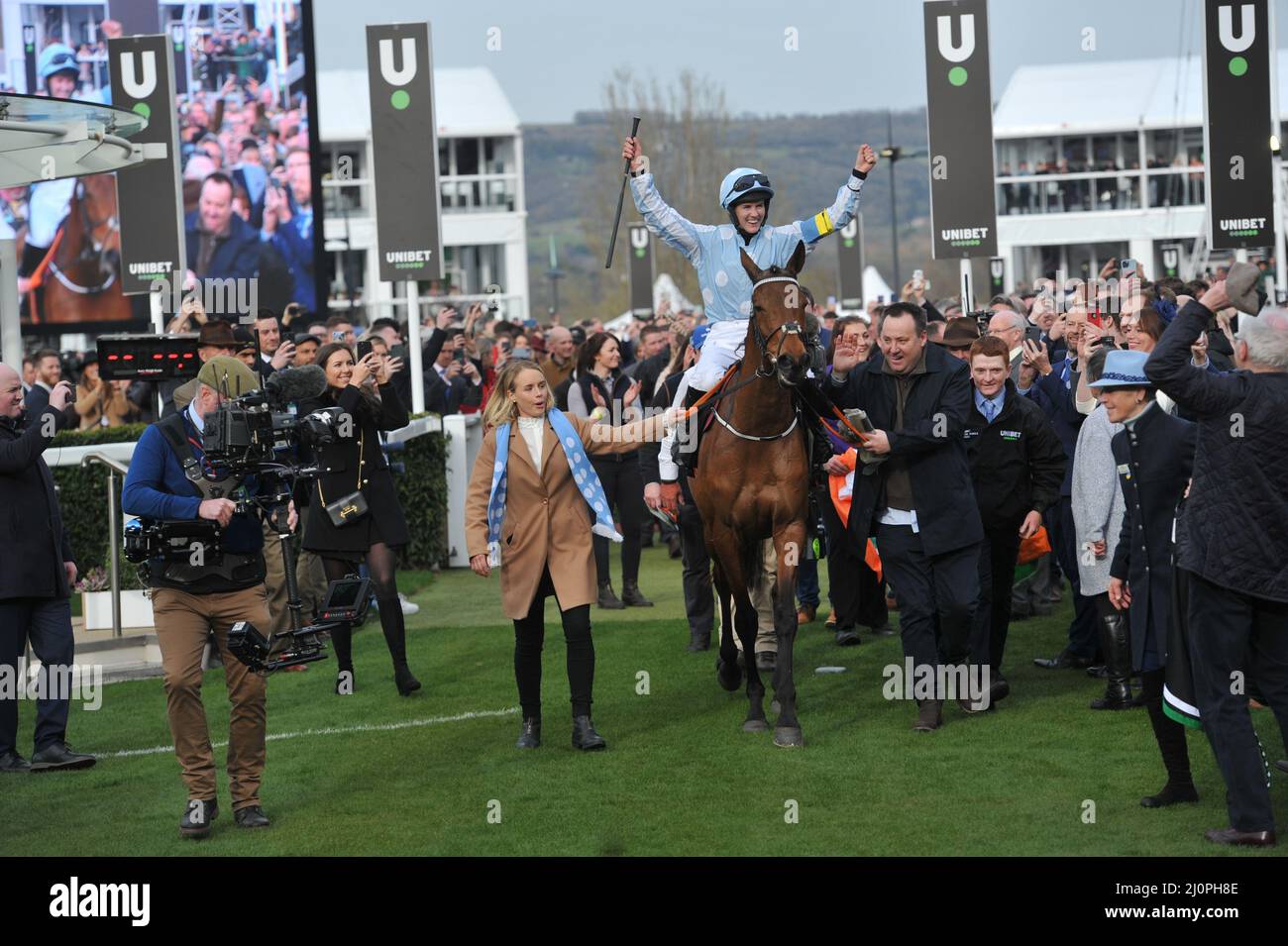 Tag 1 des Cheltenham Festivals auf der Cheltenham Rennbahn. Champion Hurdle Race Gewinner Honeysuckle im Sattel von Rachael Blackmore Bild von M Stockfoto