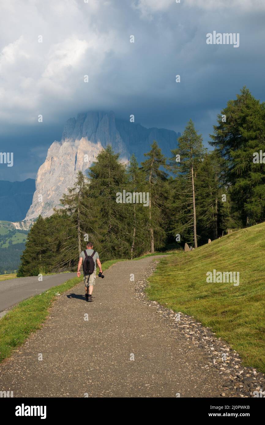 Blick auf die Seiser Alm. (Seiser Alm) Stockfoto