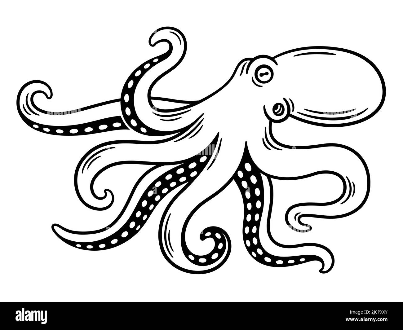 Octopus Vintage Gravur, schwarz-weiße Zeichnung. Isolierte Vektordarstellung. Stock Vektor