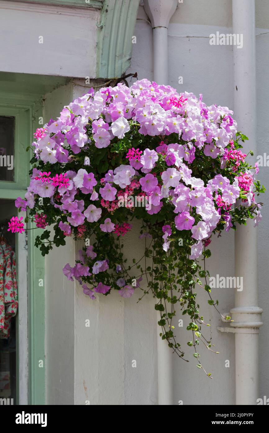 DARTMOUTH, DEVON, Großbritannien - JULI 29 : schöner Hängekorb in einem Dartmouth am 29. Juli 2012. Stockfoto