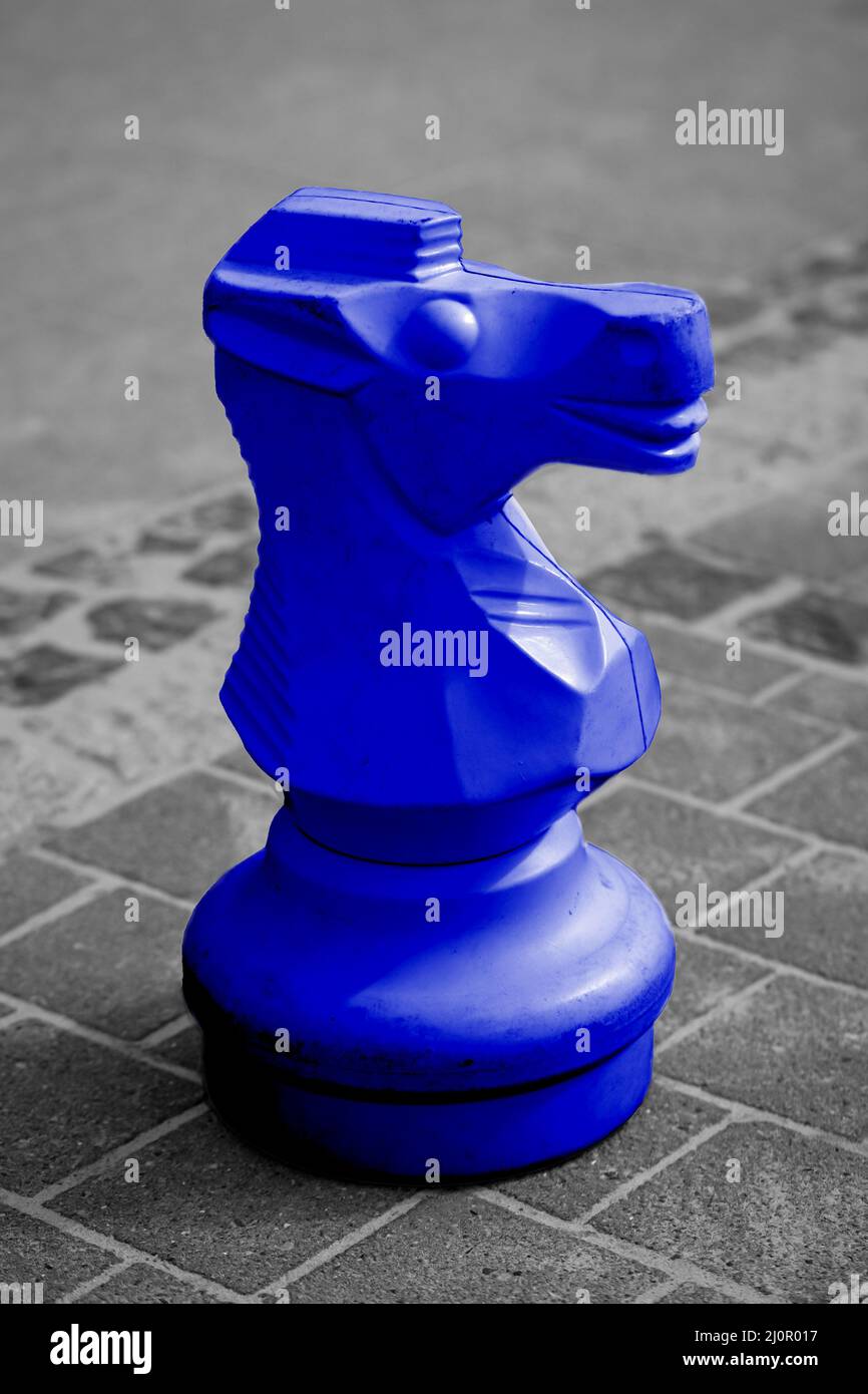 Schachfiguren auf einem Schachfeld im Freien. Schach der König Spiel. Stockfoto