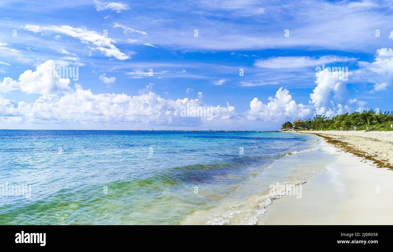 Tropisches mexikanisches Strandpanorama Playa 88 Playa del Carmen Mexiko. Stockfoto