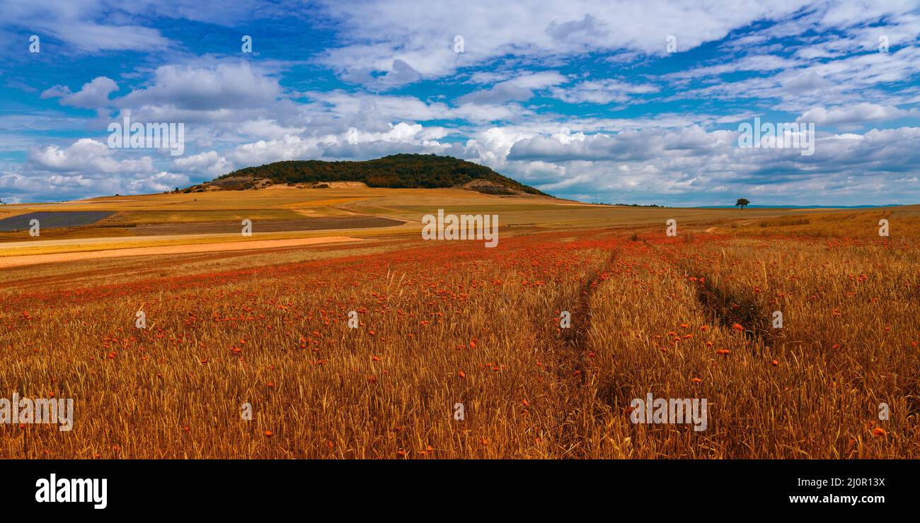 Landschaftsbild mit dramatischen Wolken Stockfoto