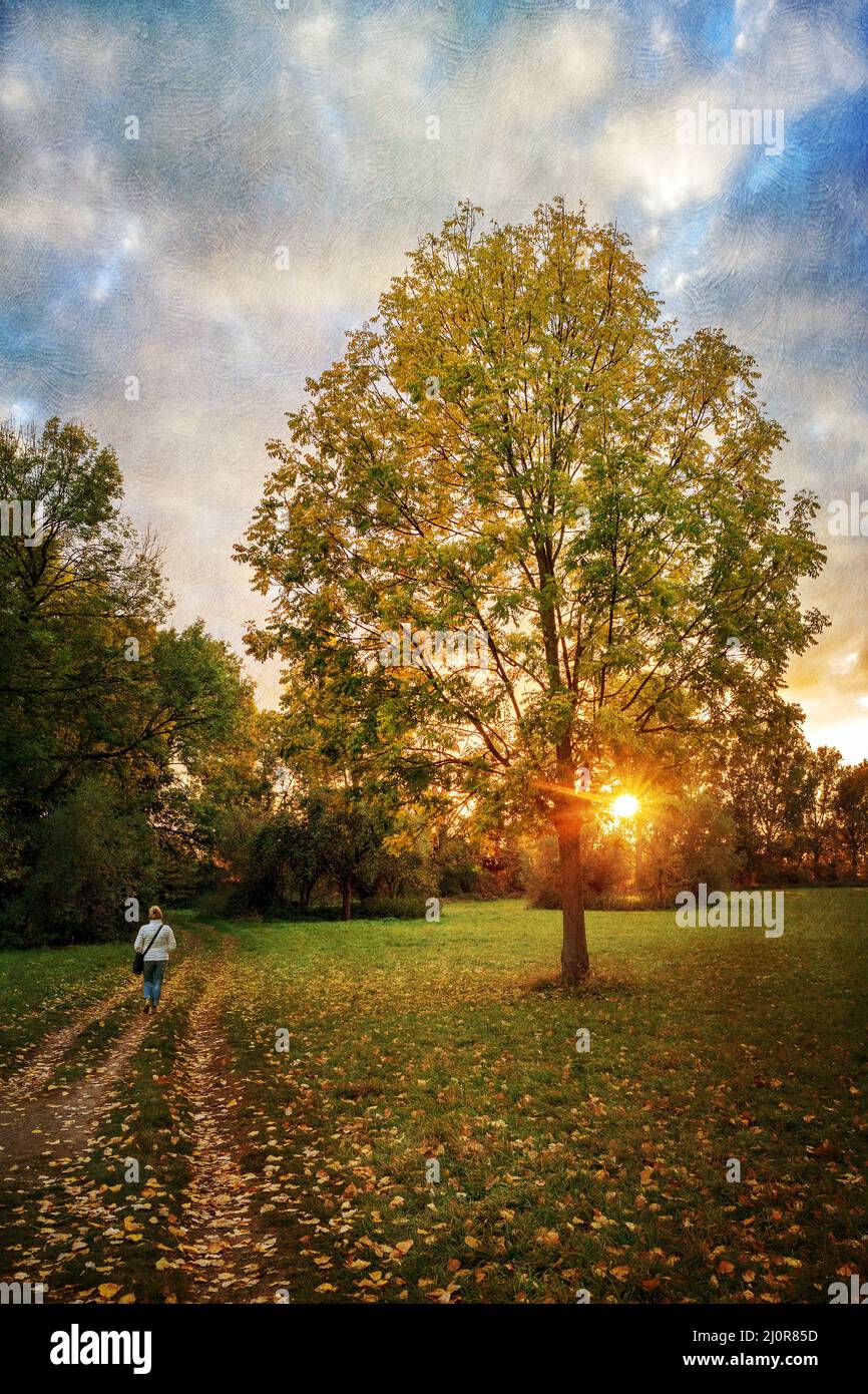 Eine Frau morgens im Park Stockfoto