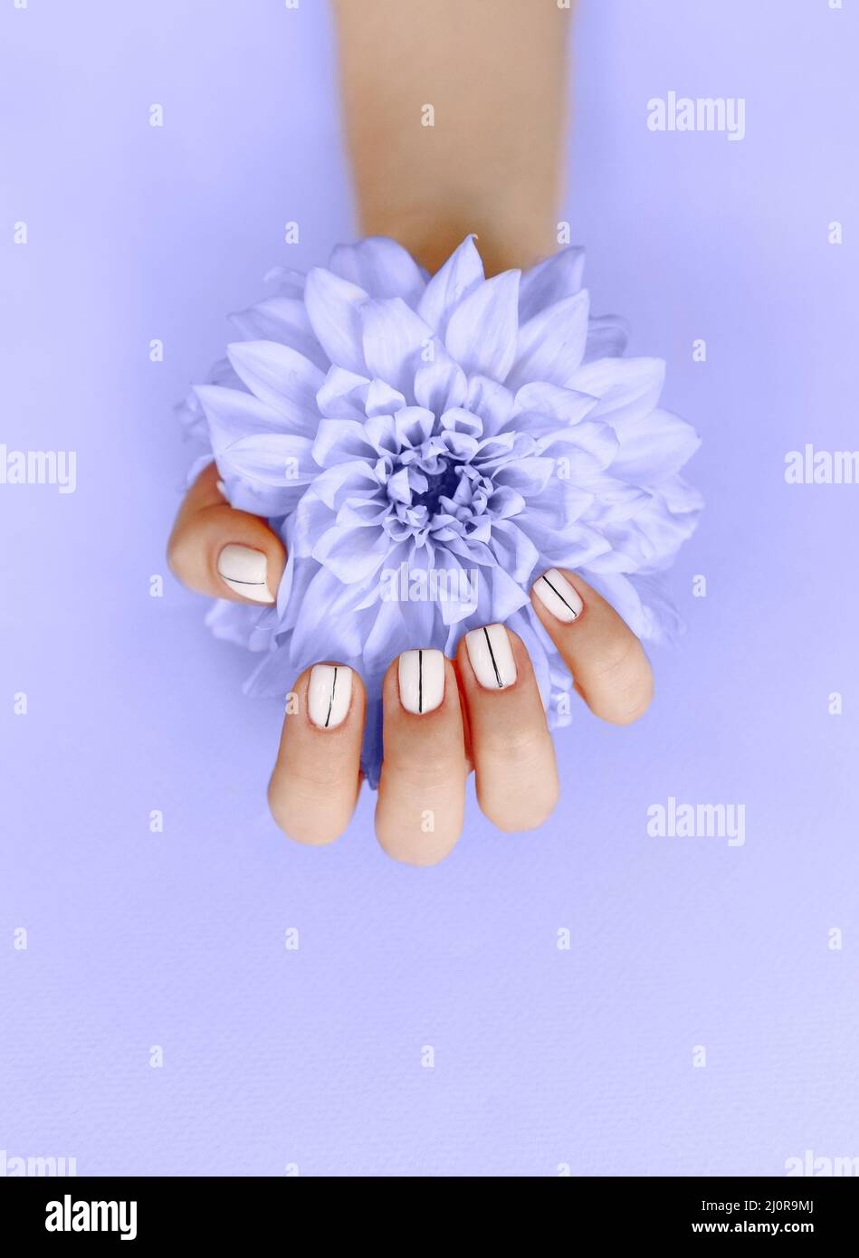 Frau mit Maniküre und Blume Stockfoto