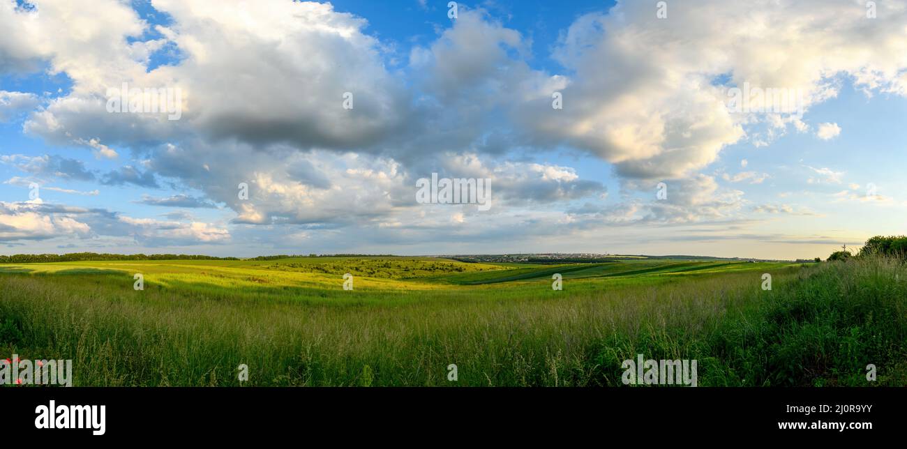 Perfektes Feld von grünem Gras mit blauem Himmel und weißen Wolken Stockfoto
