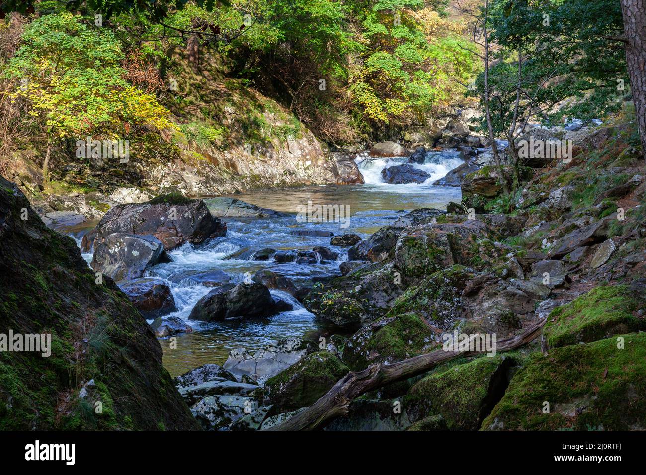 Blick entlang des Flusses Glaslyn im Herbst Stockfoto