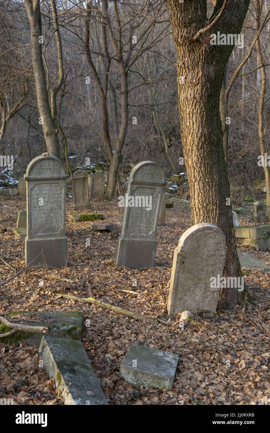 Alte alte alte verlassene jüdische Friedhof im Wald im Winter. Gealterte Grabsteine oder Grabsteine auf dem Friedhof. Stockfoto