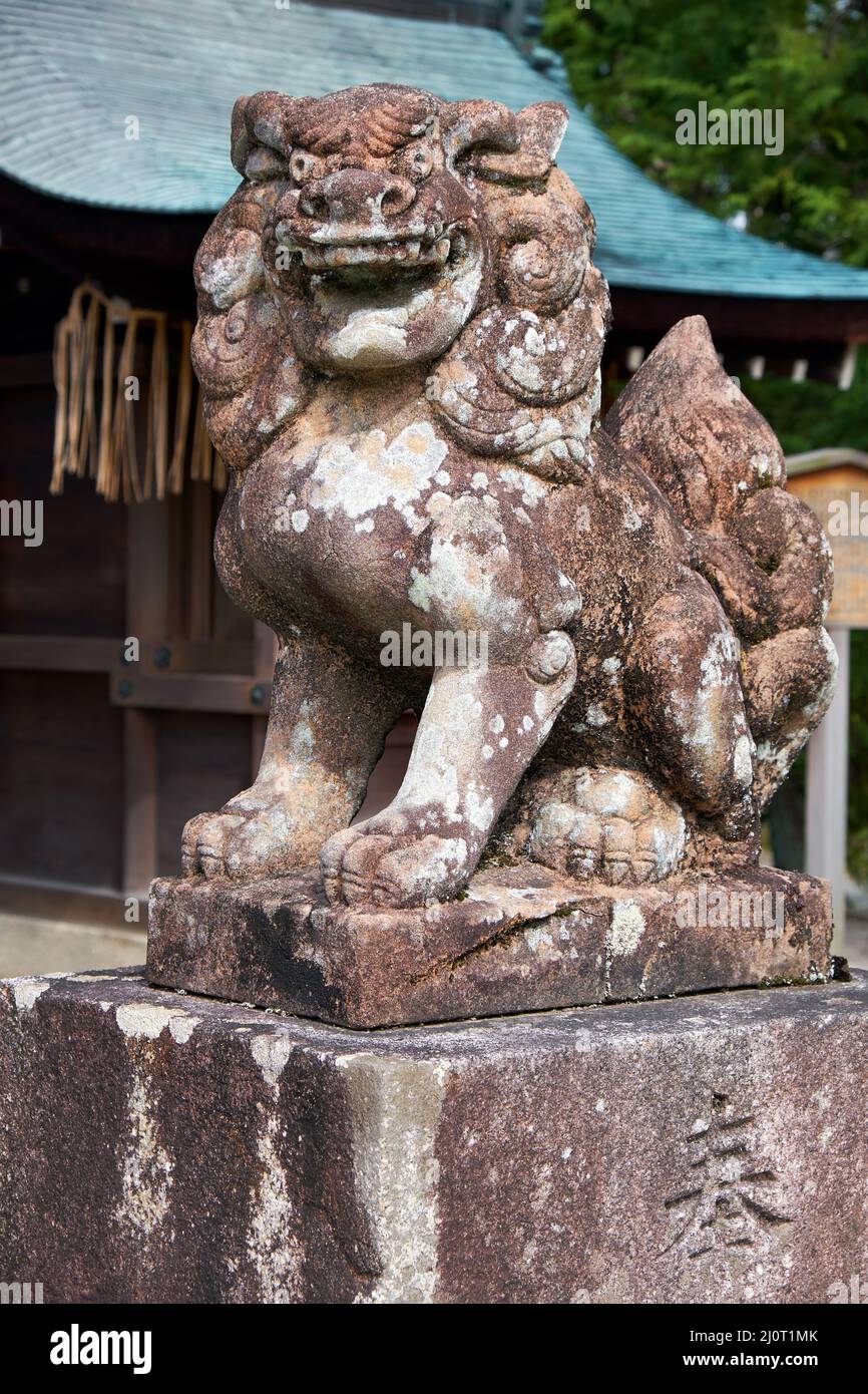 A-gyo Komainu Löwenhund bewacht den Eingang von Massha Hachiman. Kyoto. Japan Stockfoto