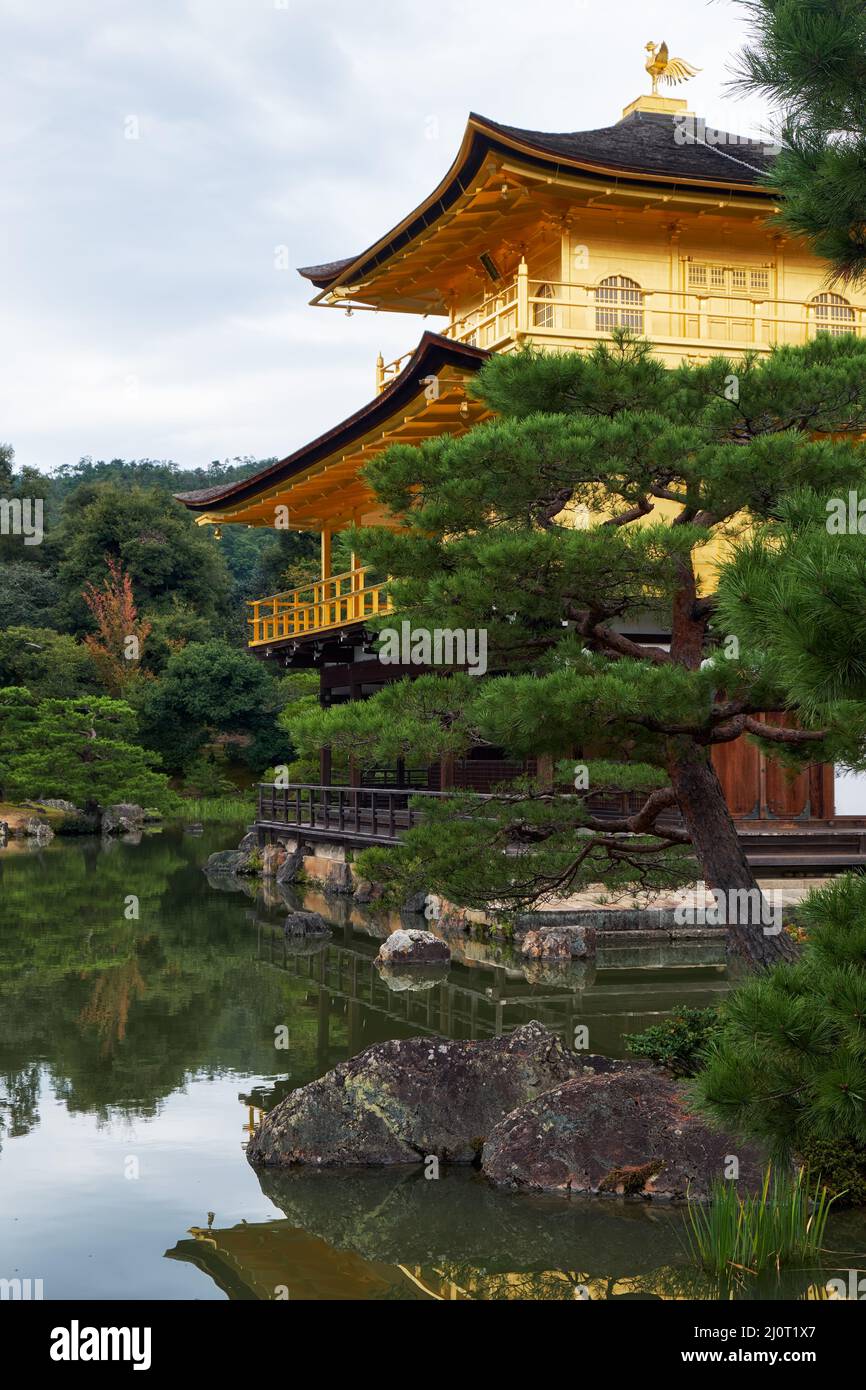 Der malerische Blick auf den Kinkaku-ji-Tempel (Tempel des Goldenen Pavillons). Kyoto. Japan Stockfoto