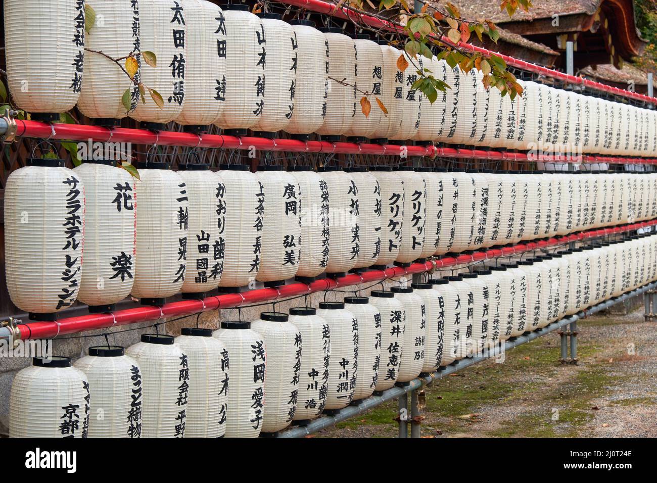 Viele traditionelle Papieraufhellungen (Chochin) am Hirano-Schrein. Kyoto. Japan Stockfoto