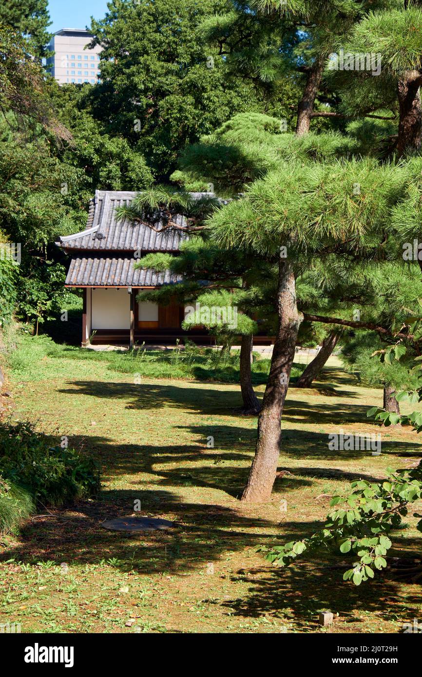 Der Teil des Gartens im japanischen Stil im Park des Kaiserpalastes von Tokio. Tokio. Japan Stockfoto