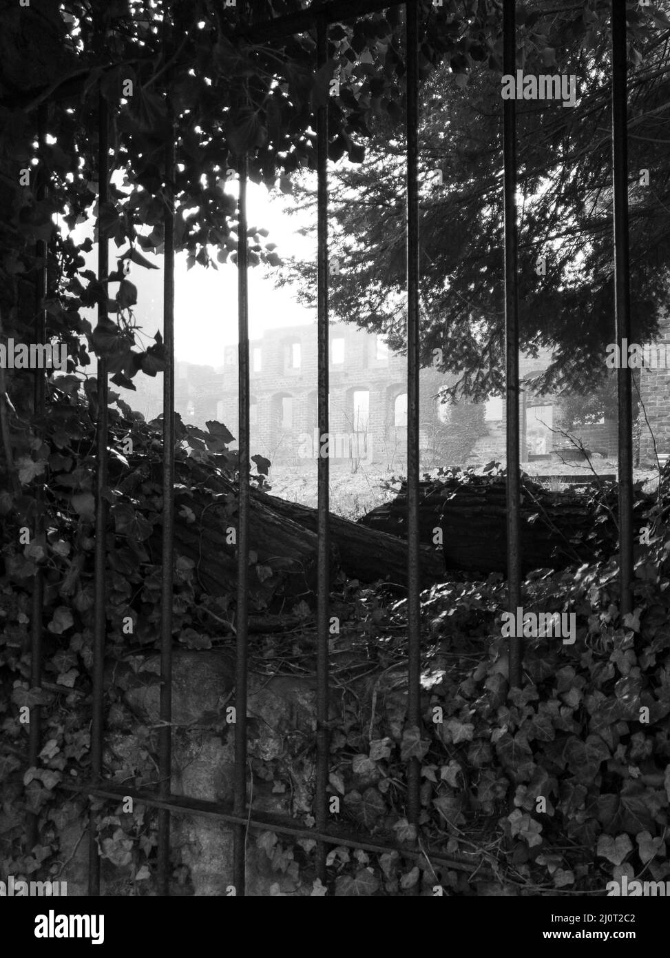Alte Burgruinen hinter Gittern im Nebel in Schwarz und Weiß Stockfoto Alte Burgruinen hinter Gittern im Nebel in Schwarz und Weiß Stockfoto
