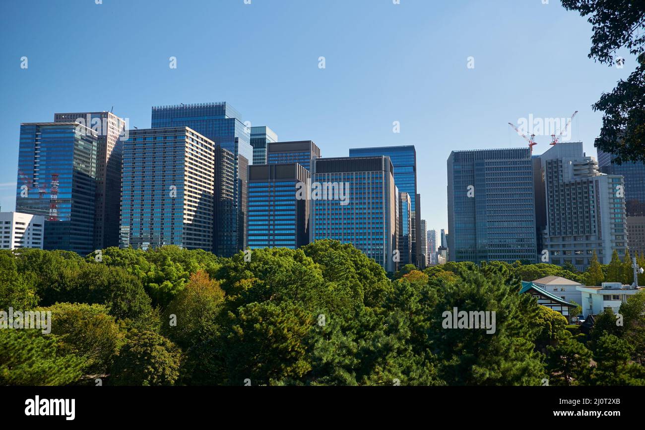 Wolkenkratzer im Marunouchi-Viertel, von den Gärten des Kaiserlichen Palasts aus gesehen. Tokio. Japan Stockfoto