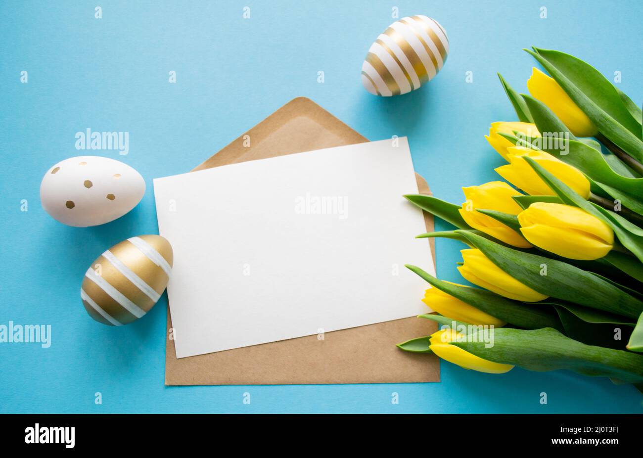 Ostergrüße: Gelbe Tulpen, goldene und weiße Eier auf blauem Hintergrund. Ein Brief mit Kopierbereich. Frühlingsferien. Stockfoto