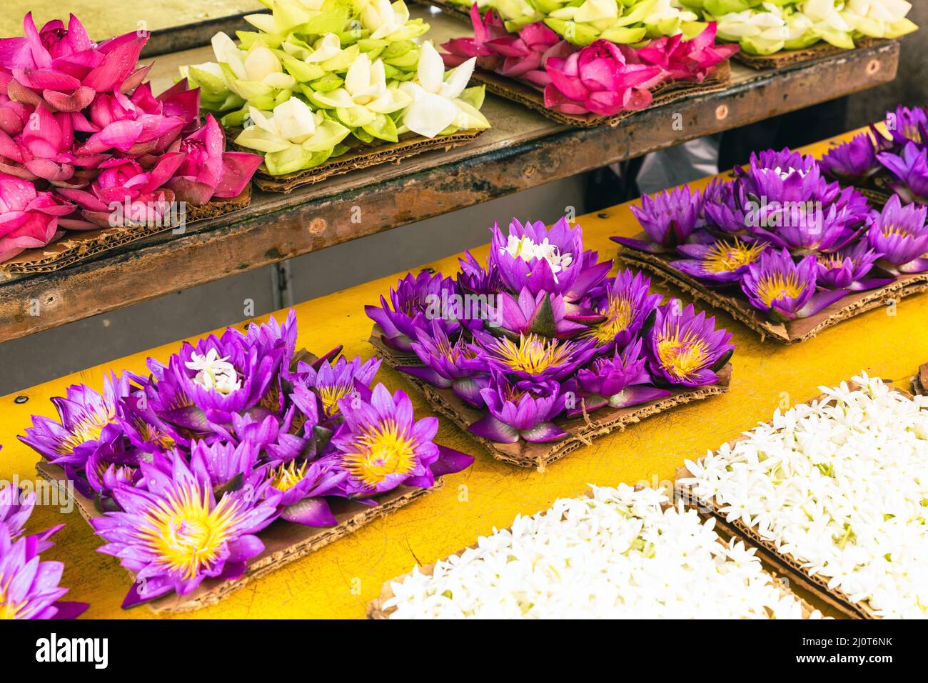 Blumen anbieten. Die Menschen bringen Blumen in den Tempel. Kandy, Sri Lanka. Stockfoto