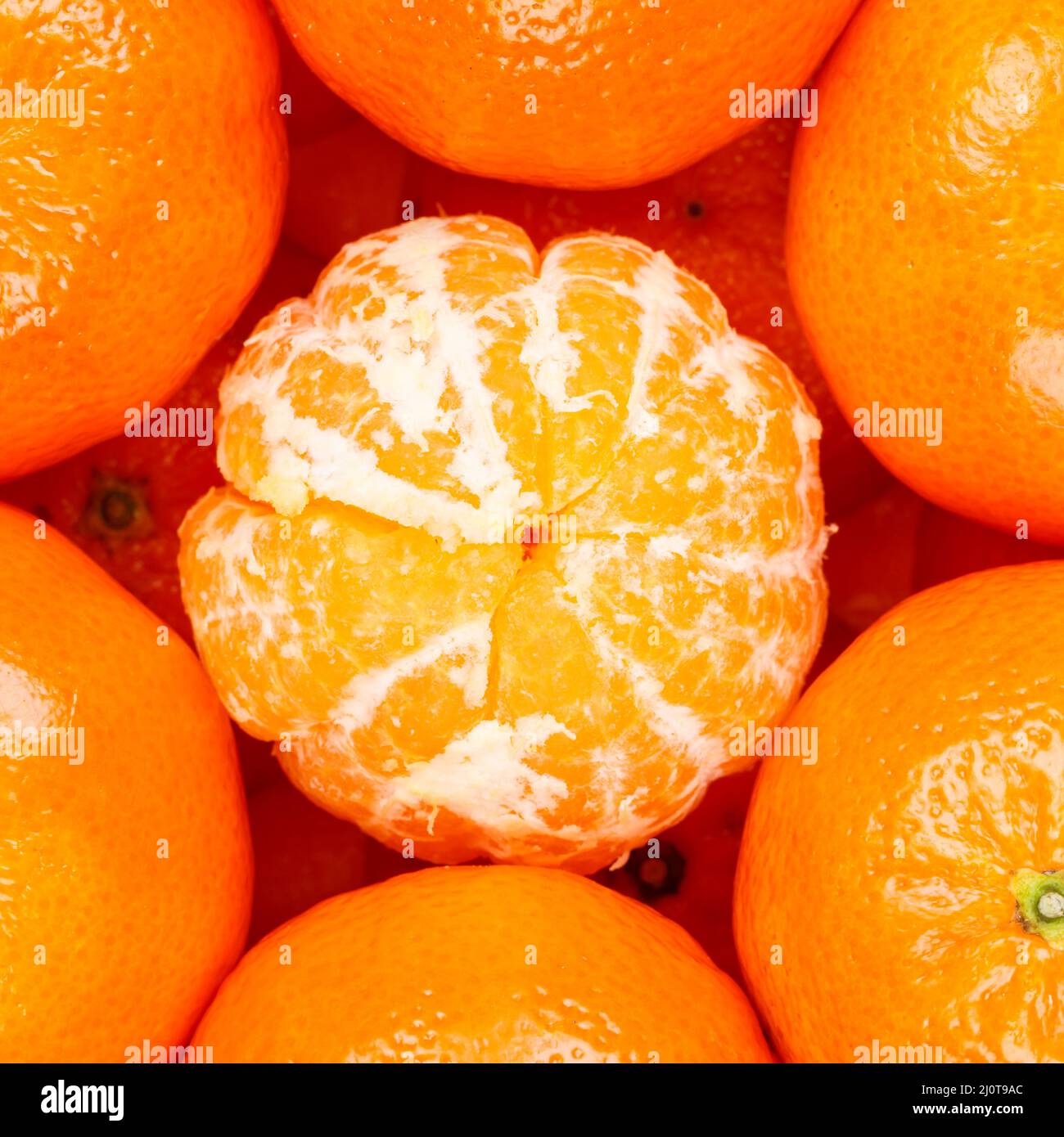 Mandarine Clementine Frucht Mandarine Clementine Frucht aus dem oberen Quadrat Stockfoto