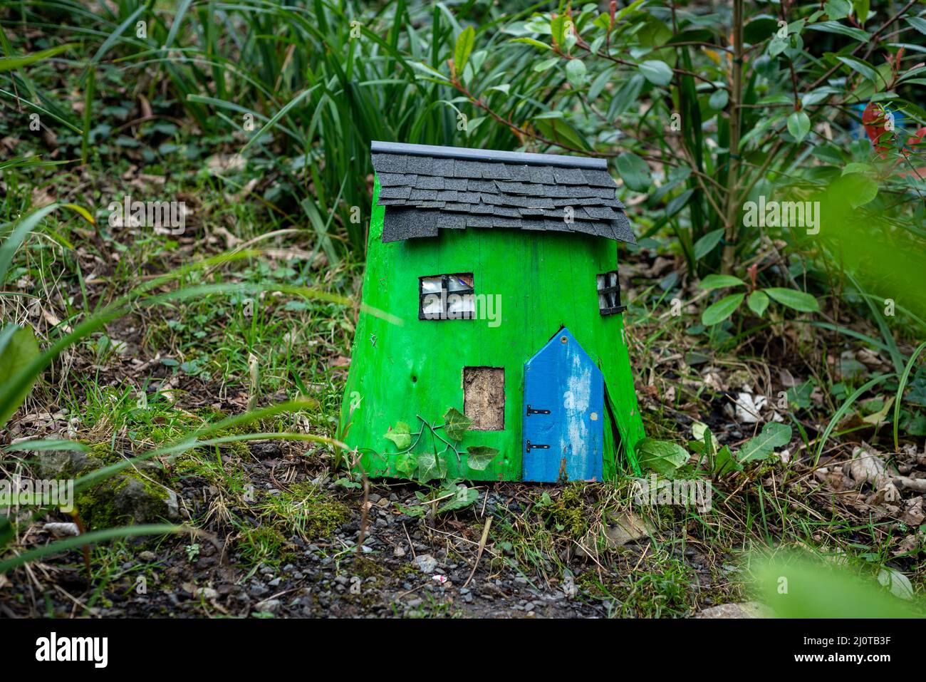 Niedliches grünes Holzmärchenhaus mit blauer Tür auf dem Waldboden in einem charmanten Märchengarten in Irland. Stockfoto