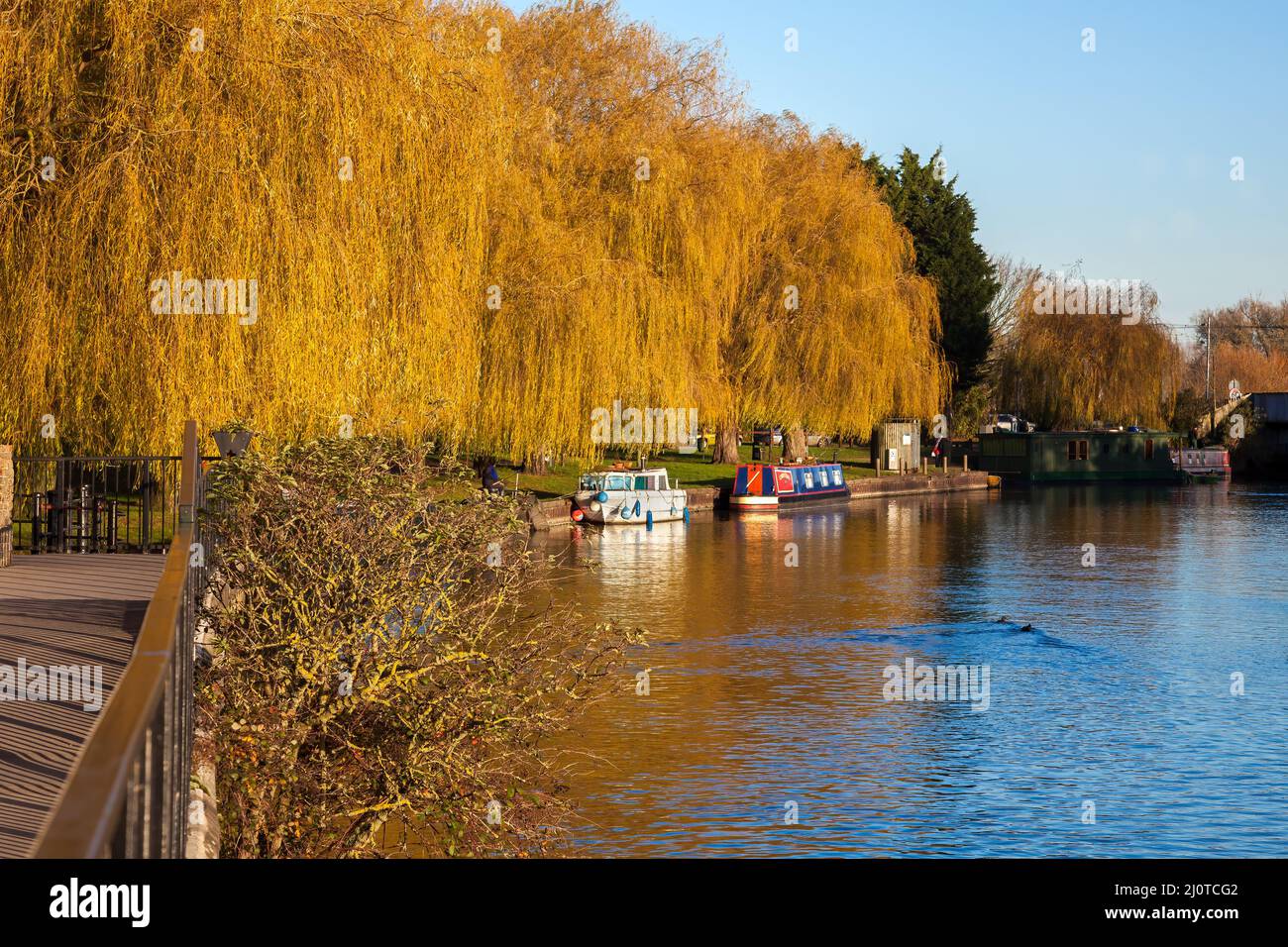 ELY, CAMBRIDGESHIRE, UK - NOVEMBER 23 : Blick entlang des Flusses Great Ouse bei Ely am 23. November 2012. Eine nicht identifizierte Person Stockfoto