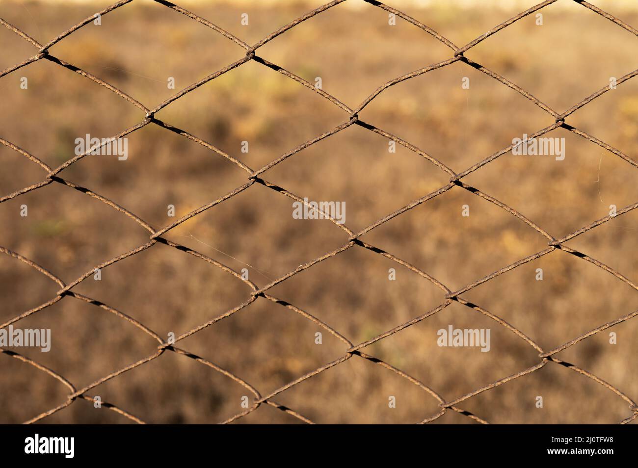 Rostiges Mesh-Netz auf einem Hintergrund aus trockenem Gras, das nicht im Fokus steht. Grunge industriellen Hintergrund Stockfoto