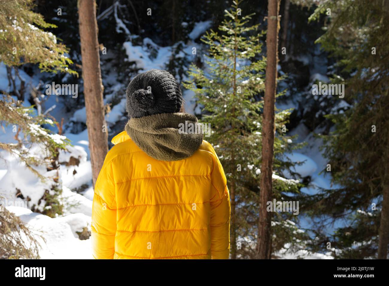 Schneebedecktes Wetter in einem Nadelwald, ein Mädchen, das im Winter in einem grauen Strickmütze und einer gelben Daunenjacke hinten steht. Er sieht aus Stockfoto