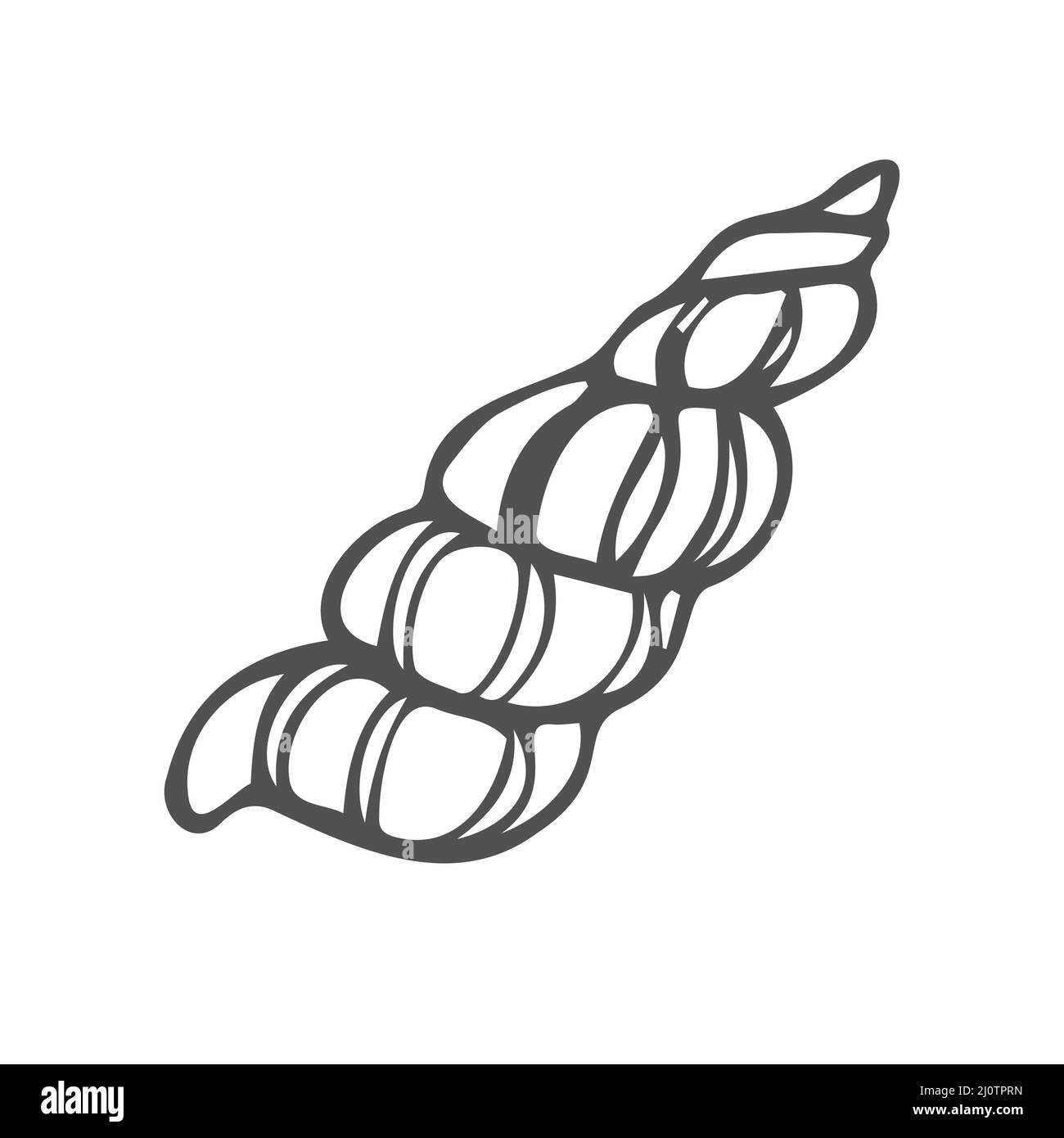 Sea Shells skizzieren Illustration Sammlung. Isoliertes handgezeichnetes Shell Silhouette Set. Stock Vektor