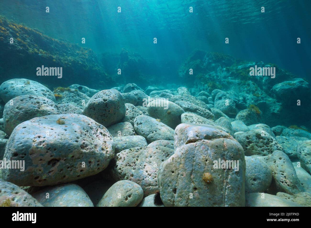 Felsiger Meeresboden, Felsen unter Wasser im Mittelmeer, Spanien Stockfoto