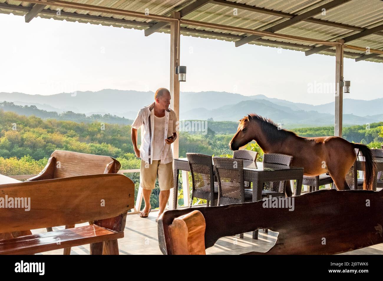 Ungewöhnlicher Besucher im Phang Nga Viewpoint Cafe in der wunderschönen Provinz Phang Nga im Süden Thailands. Stockfoto