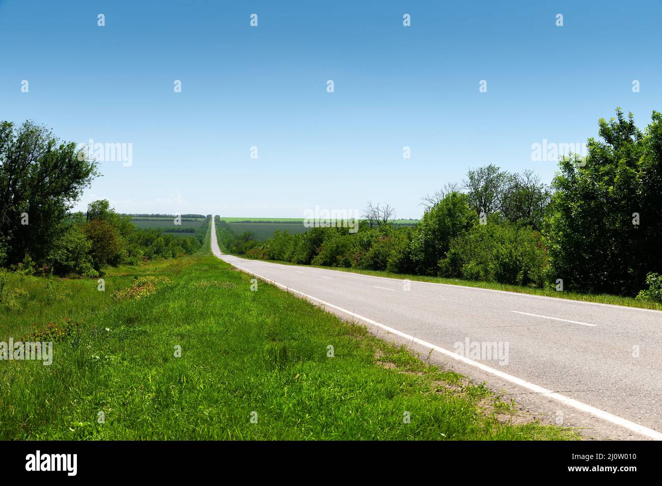 Im Sommer asphaltierte Landstraße mit grünem Gras und Bäumen an den Straßenrändern gegen den blauen Himmel. Sonniger Hintergrund für den Transport Stockfoto