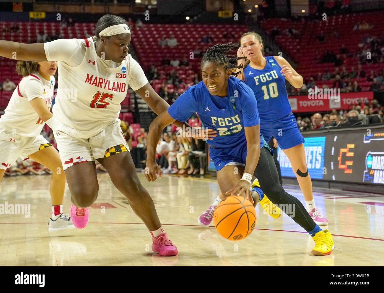 COLLEGE PARK, MARYLAND, USA – 20. MÄRZ 2022: Karli Seay (23), die Wache der Florida Gulf Coast Eagles, dribbelt am 20. März 2022 im Xfinity Center im College Park bei einem NCAA-Basketball-Turnier der Frauen in der zweiten Runde zwischen den Maryland-Schildkröten und den Florida Gulf Coast Eagles an der Maryland-Wasserschildkröte Ashley Owusu (15) vorbei. Maryland. (Foto von Tony Quinn-Alamy Live News) Stockfoto