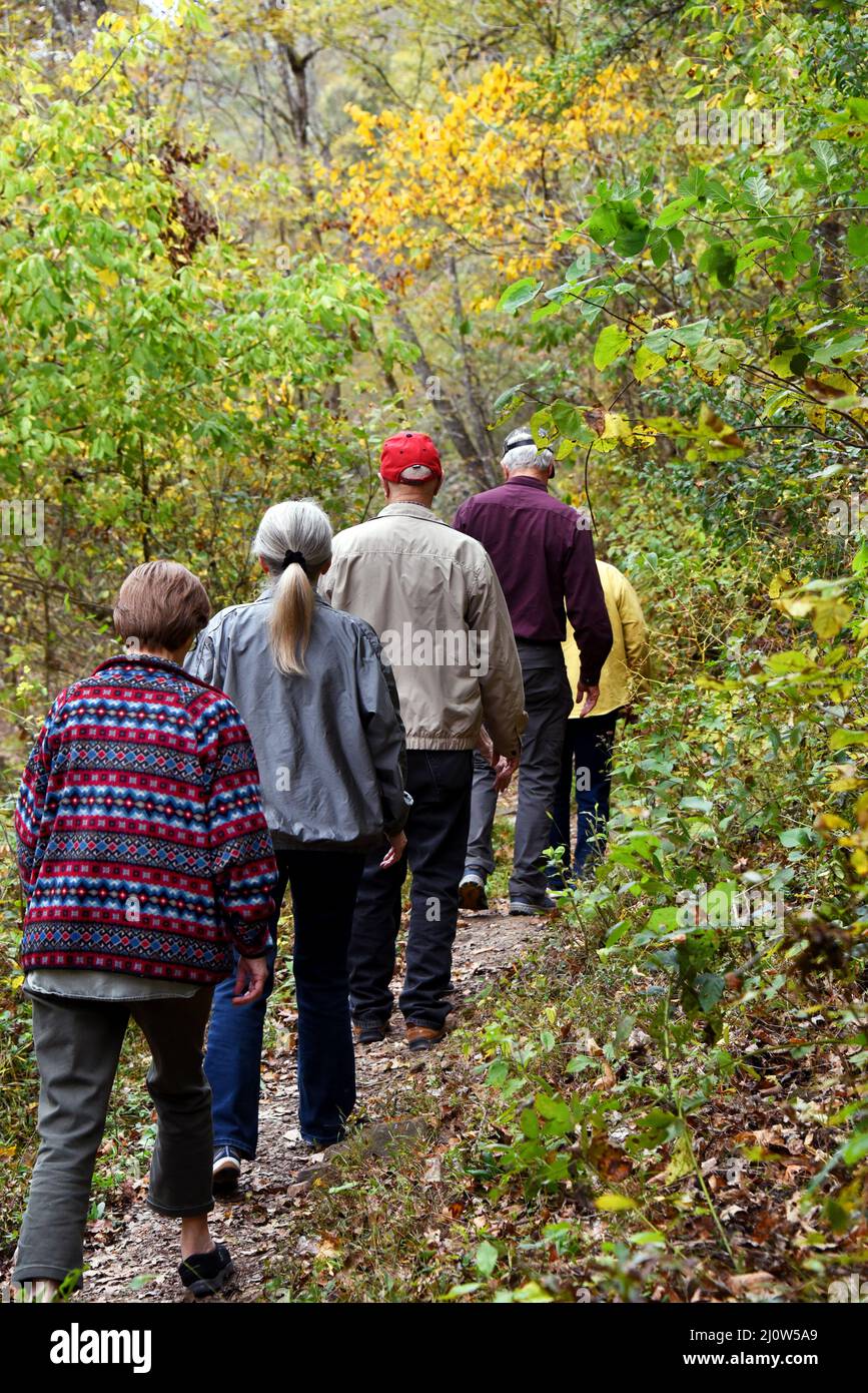 Eine Gruppe von fünf Besuchern wandern auf dem schmalen Pfad zum Mirror Lake im Erholungsgebiet der Blanchard Springs Caverns. Jahreszeit ist Herbst. Stockfoto