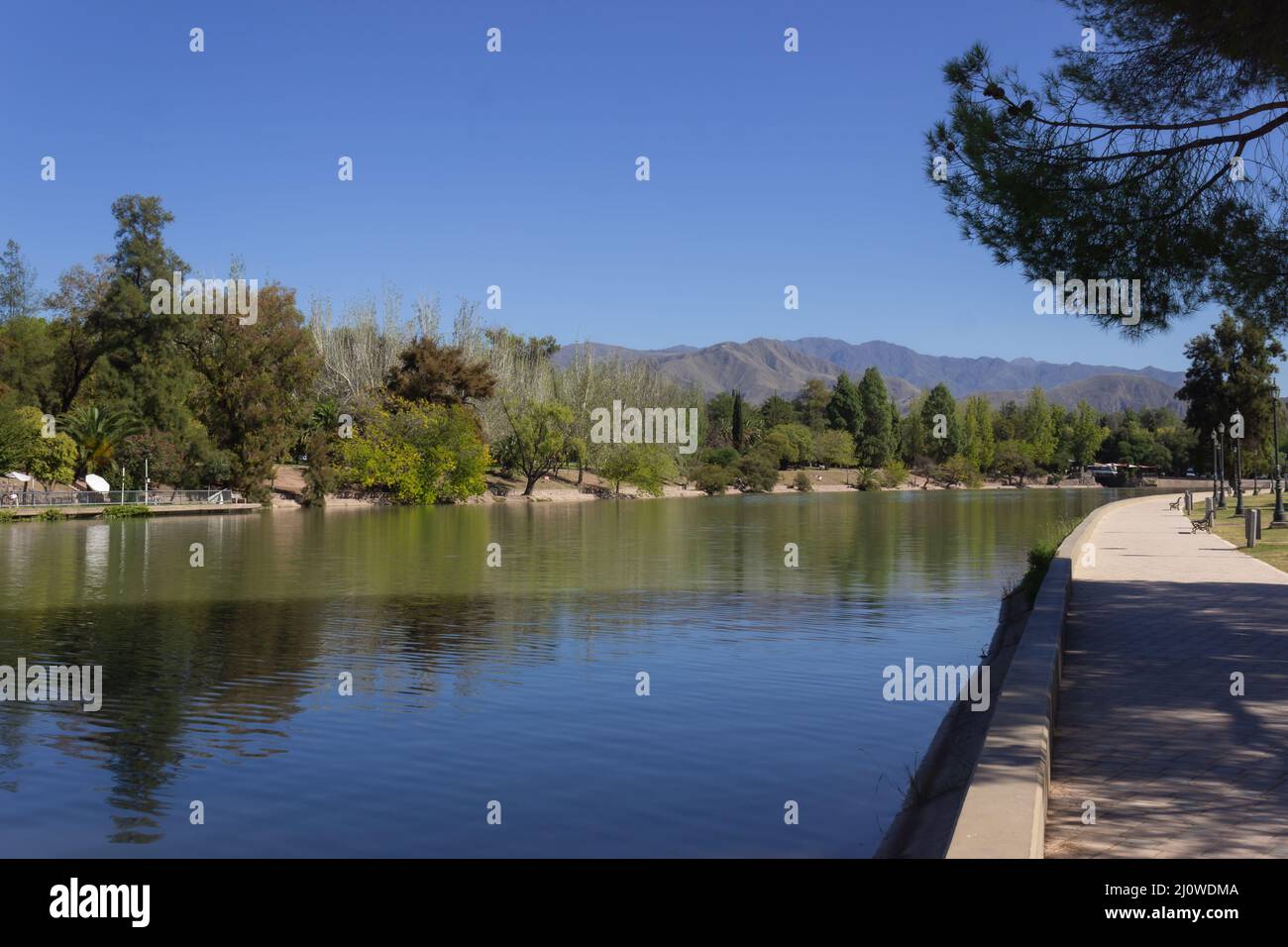 Bäume am Fluss an einem sonnigen Tag. Stockfoto