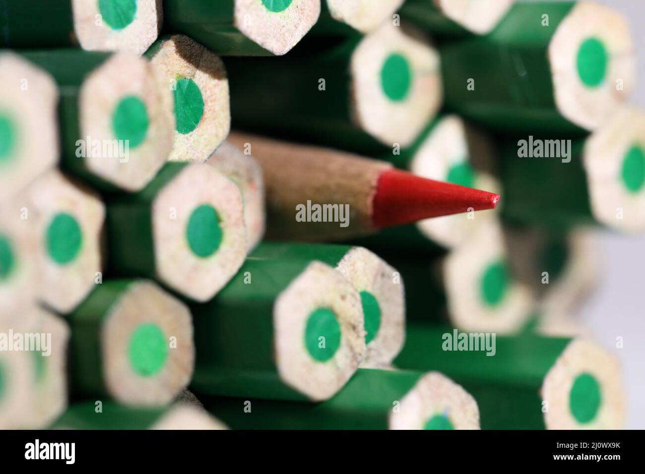 Ein einzelner einfacher scharfer roter Bleistift, der zwischen mehreren grünen Bleistiften heraussticht. Metapher für Unterschiede, Isolation oder Selbstvertrauen. In einer Krähe herausstehen Stockfoto